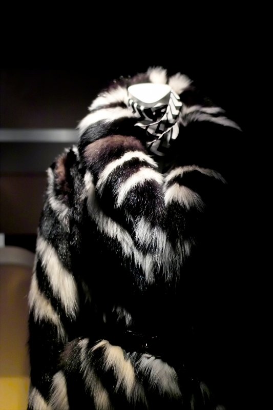 Fur