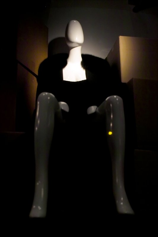 Window Shopping