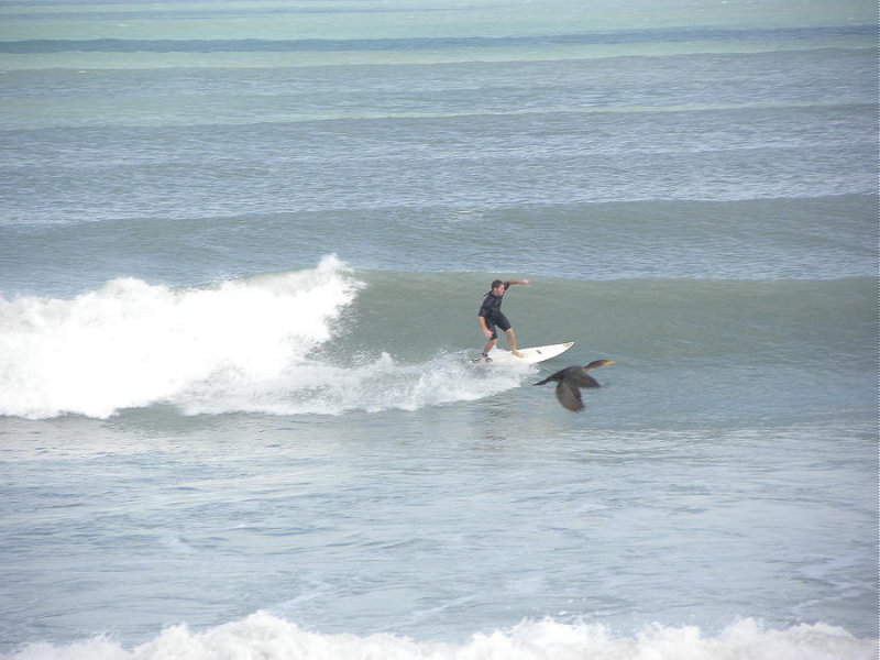 DSCN7766 2.JPG