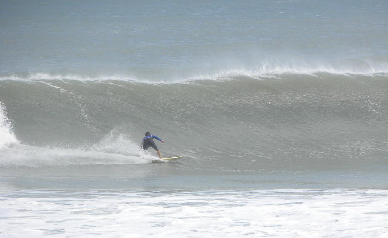 DSCN7803 2.JPG