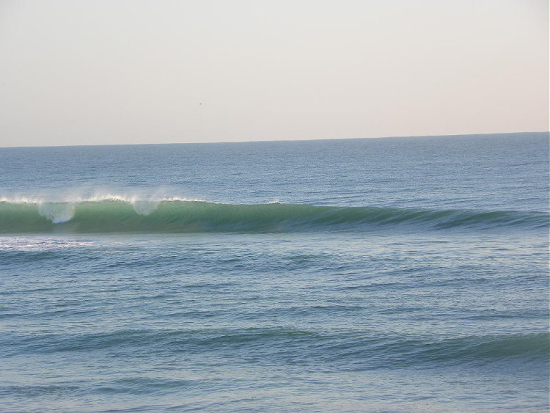 DSCN8687 2.JPG