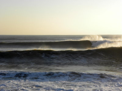 DSCN7717 2.JPG