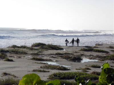 DSCN7755 2.JPG