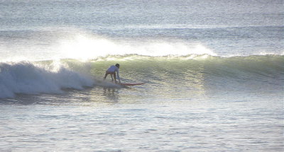 DSCN7818 2.JPG