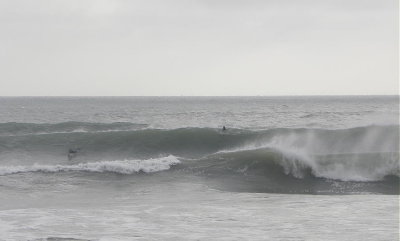 DSCN8098 2.JPG