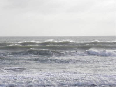 DSCN8109 2.JPG