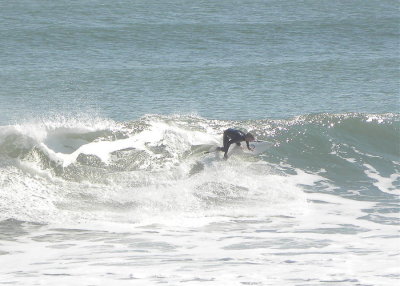 DSCN8301 2.JPG