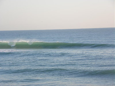 DSCN8687 2.JPG