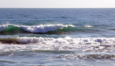 DSCN8854 2.JPG