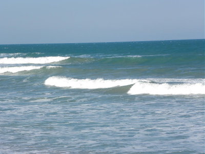 DSCN9172 2.JPG