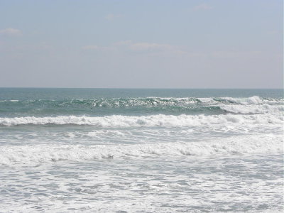 DSCN9214 2.JPG