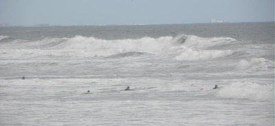 DSCN9334 2.JPG