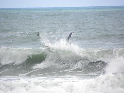DSCN9335 2.JPG