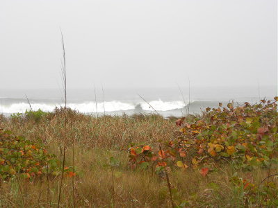 DSCN9416 2.JPG