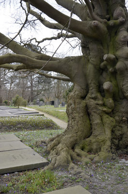 Begraafplaats Groenesteeg