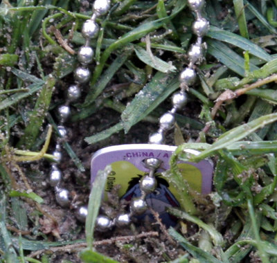 aIMG_8276.jpg