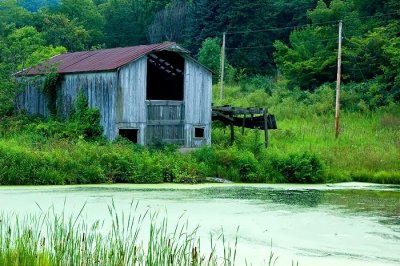 Barn by the pond