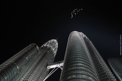 Flamingos flying over twin towers