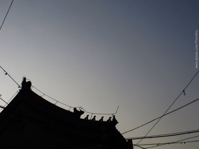 Roof of an old house in Beijing