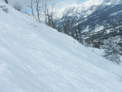 DSCN0207.JPG