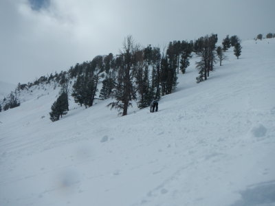 DSCN0216.JPG