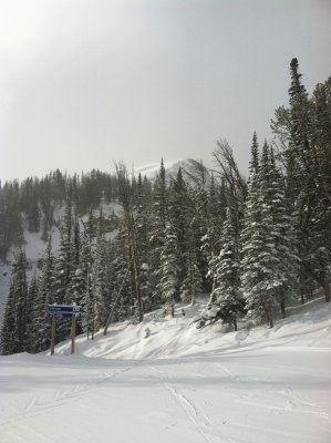 IMG_2660.JPG