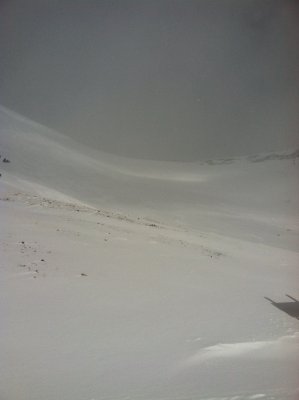 IMG_2668.JPG