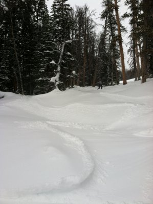 IMG_2671.JPG