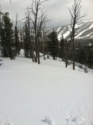 IMG_2678.JPG