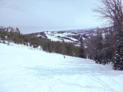 P1000386.jpg