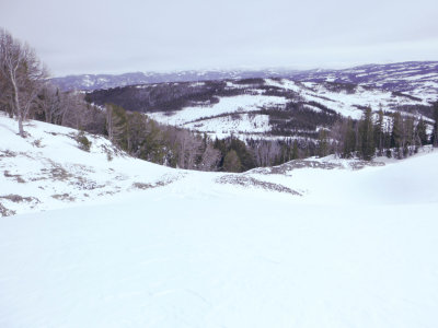 P1000390.jpg