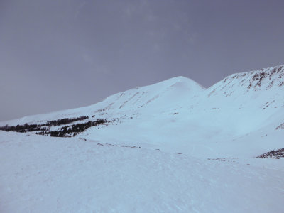 P1000391.jpg