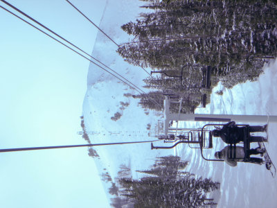 P1000397.jpg