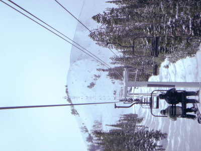 P1000398.jpg