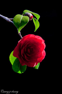 g2/14/510914/3/147359419.cUet1Fqi.jpg