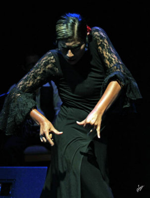 IMG_9791 Flamenco Dancer in Lima, Jan 16