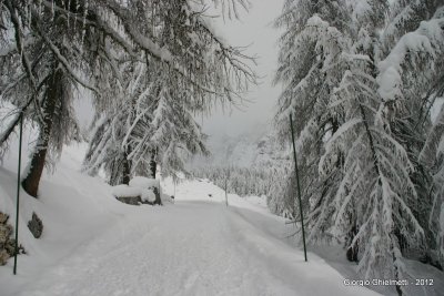 verso casa...