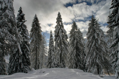 Il calore del freddo