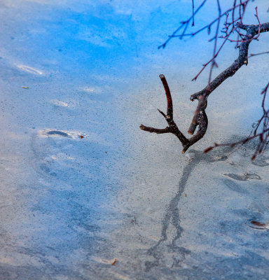 Mud lake frozen, Wasilla, Alaska. _MG_4486.jpg