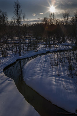 Cottonwood creek, Wasilla, Alaska.  _MG_4850.jpg