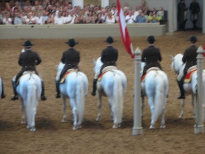 Wien50.JPG