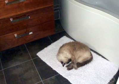 Under floor heating arrives in the bathroom