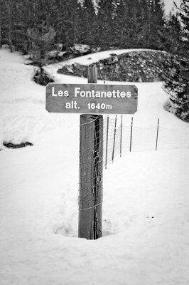 Retouche_DSC_0889.jpg