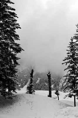 Retouche_DSC_0941.jpg
