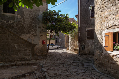 _MG_8586.jpg