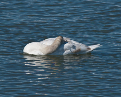 _DSC9855.jpg