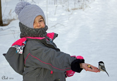 Hlose et msange - So happy to feed its chickadee !!