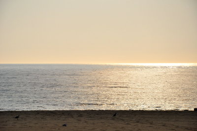 DSC_0002.JPG