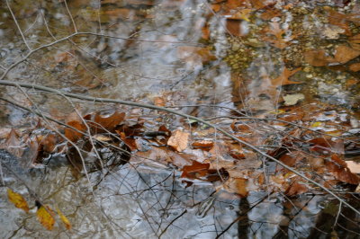 DSC_0290_2.JPG