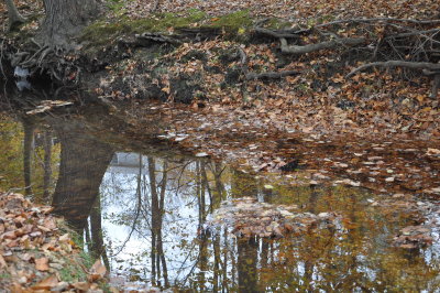 DSC_0303.JPG